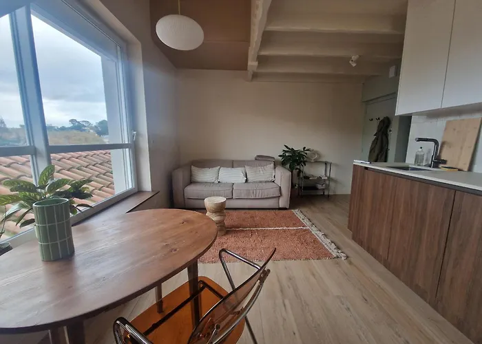 Duplex Lumineux Saint Charles Biarritz